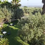 Del Sole Gizzeria
