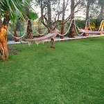 Del Sole Gizzeria