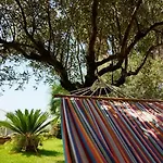 Del Sole Gizzeria