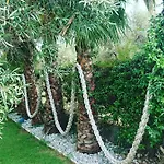 Frühstückspension Del Sole Gizzeria