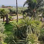 Del Sole Gizzeria