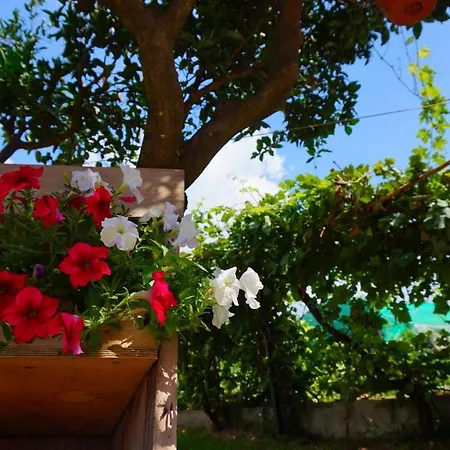 Del Sole Bed and Breakfast Gizzeria