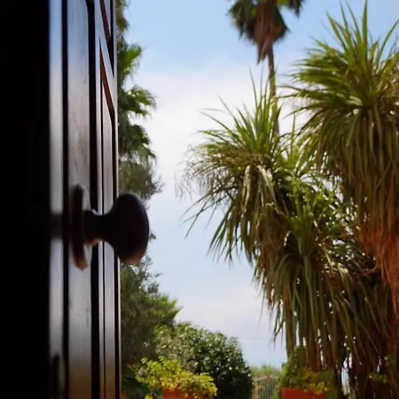 Del Sole 기제리아