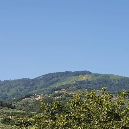 Del Sole *