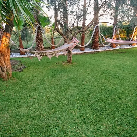 Del Sole Gizzeria