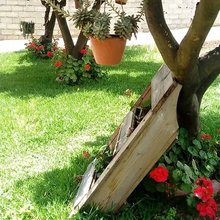 Del Sole 3* Gizzeria