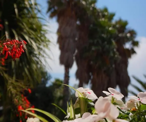 Del Sole 住宿加早餐酒店 3*