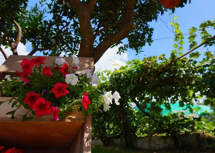 Del Sole Alojamento de Acomodação e Pequeno-almoço Gizzeria